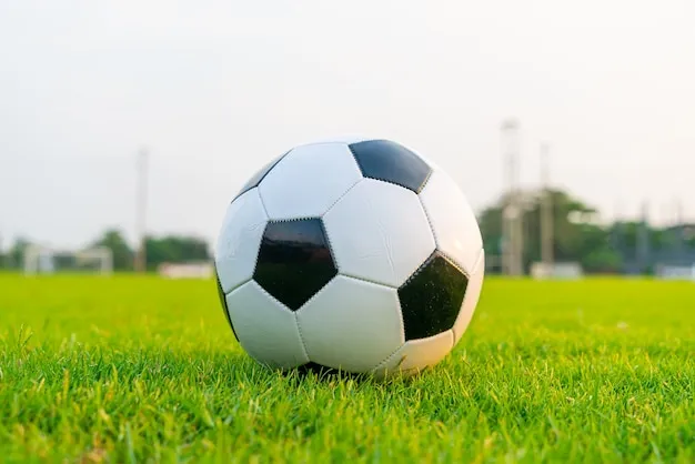 平台界面预览图